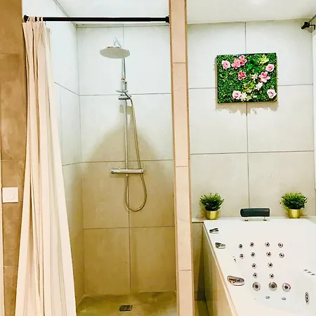 Appartement Le Baraban Lyon