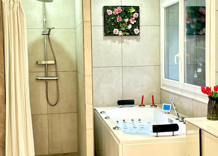 Le Baraban Apartment Lyon